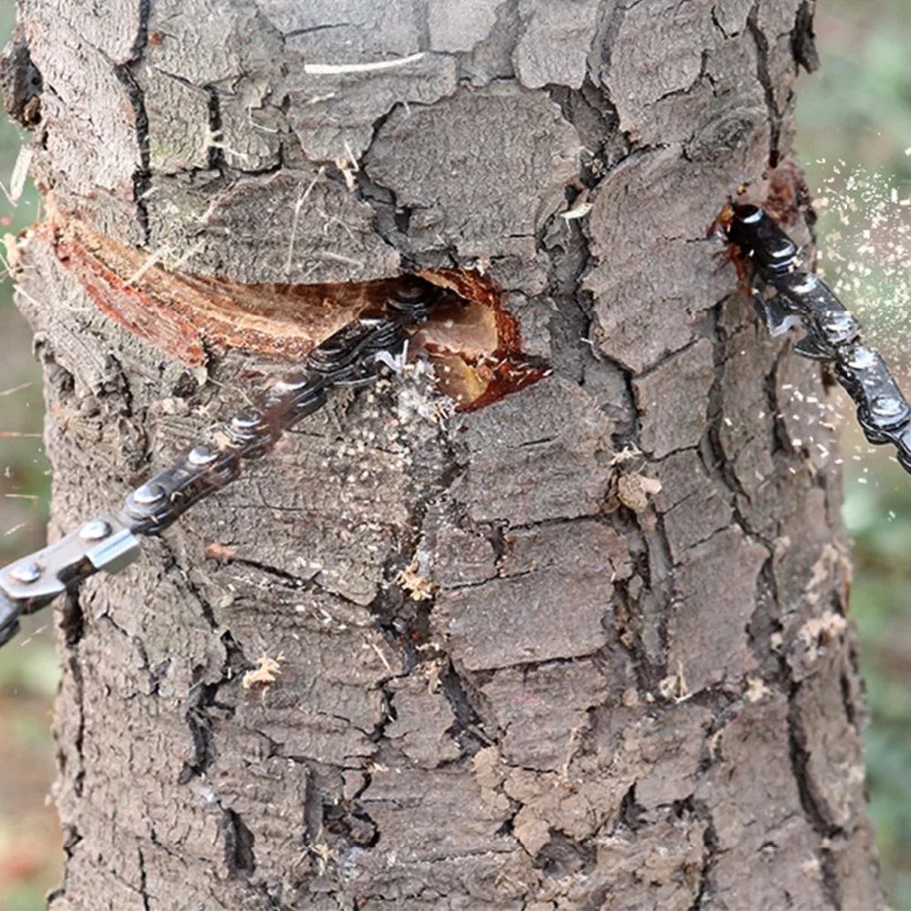 81ShPEK7THL._SL1100_