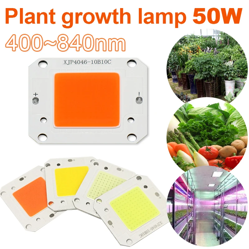 

LED Chip Phyto Lamp COB Chip LED Diode Grow Light Plant Growth Light Durable Hydroponics Grow Light For Seed Growing