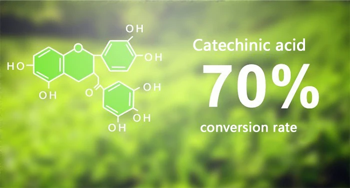 50pcs 10 Different Flavors Yunnan China Mini Tuo Puer Tea Ripe Raw Roasted Puerh Flavors Selection Health Care Beauty Product