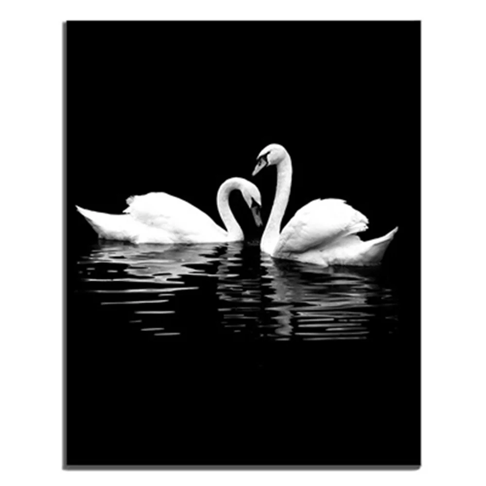 

Frameless White Swan On River Dark Scene Simple Print Canvas Oil Painting Poster Creative Living Room Unique Gift For Home Decor