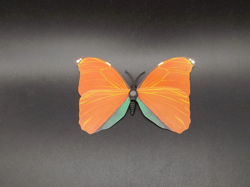 I226-Butterfly (8)