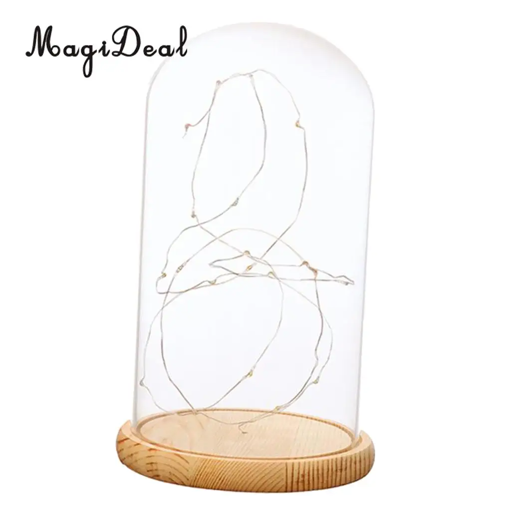 Glass Display Dome Cloche With Suspended LED Lights Tabletop Lamp Wedding Holiday Decor Crafts