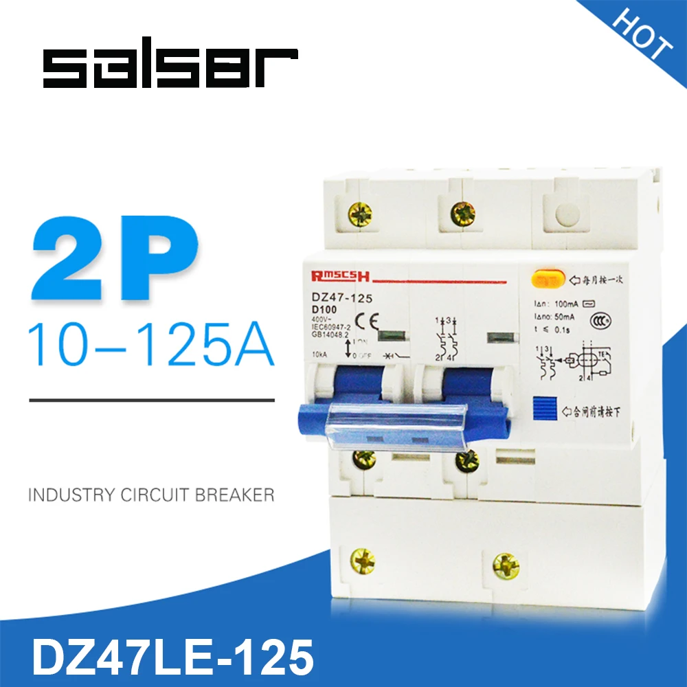 

D Type DZ47LE-100 Electric Leakage Circuit Breaker Switch Household Protect 2P Small-sized Atmosphere Switch