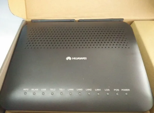100M HG8245 GG.jpg
