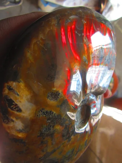 Best Price 1407g(3.09 lb) Iridescent Ammonite Ammolite Specimen Fossil Madagascar DFB133