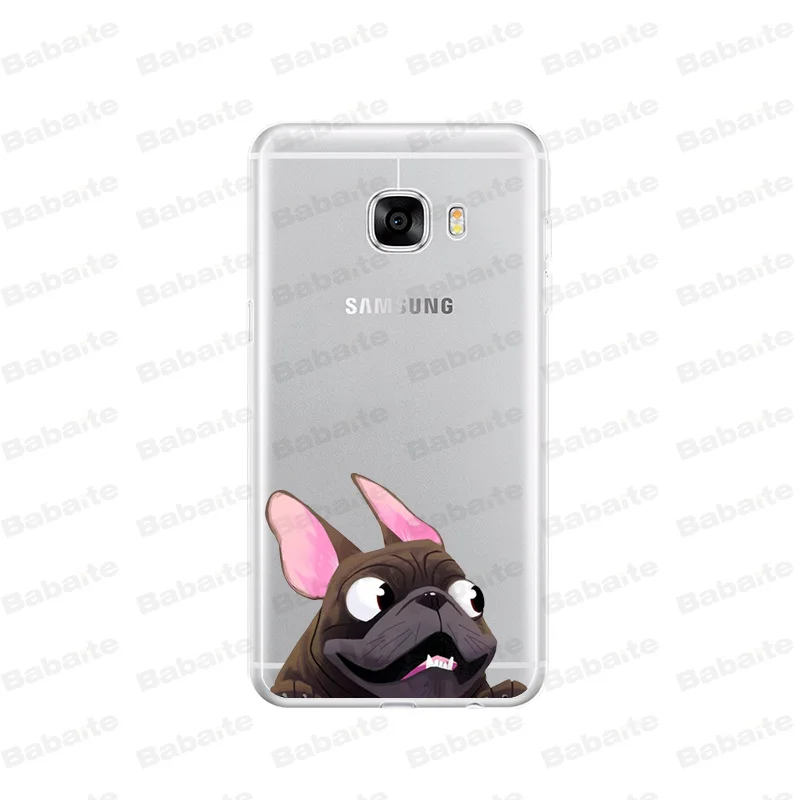 Cute  French Bulldog cartoon dog and cat