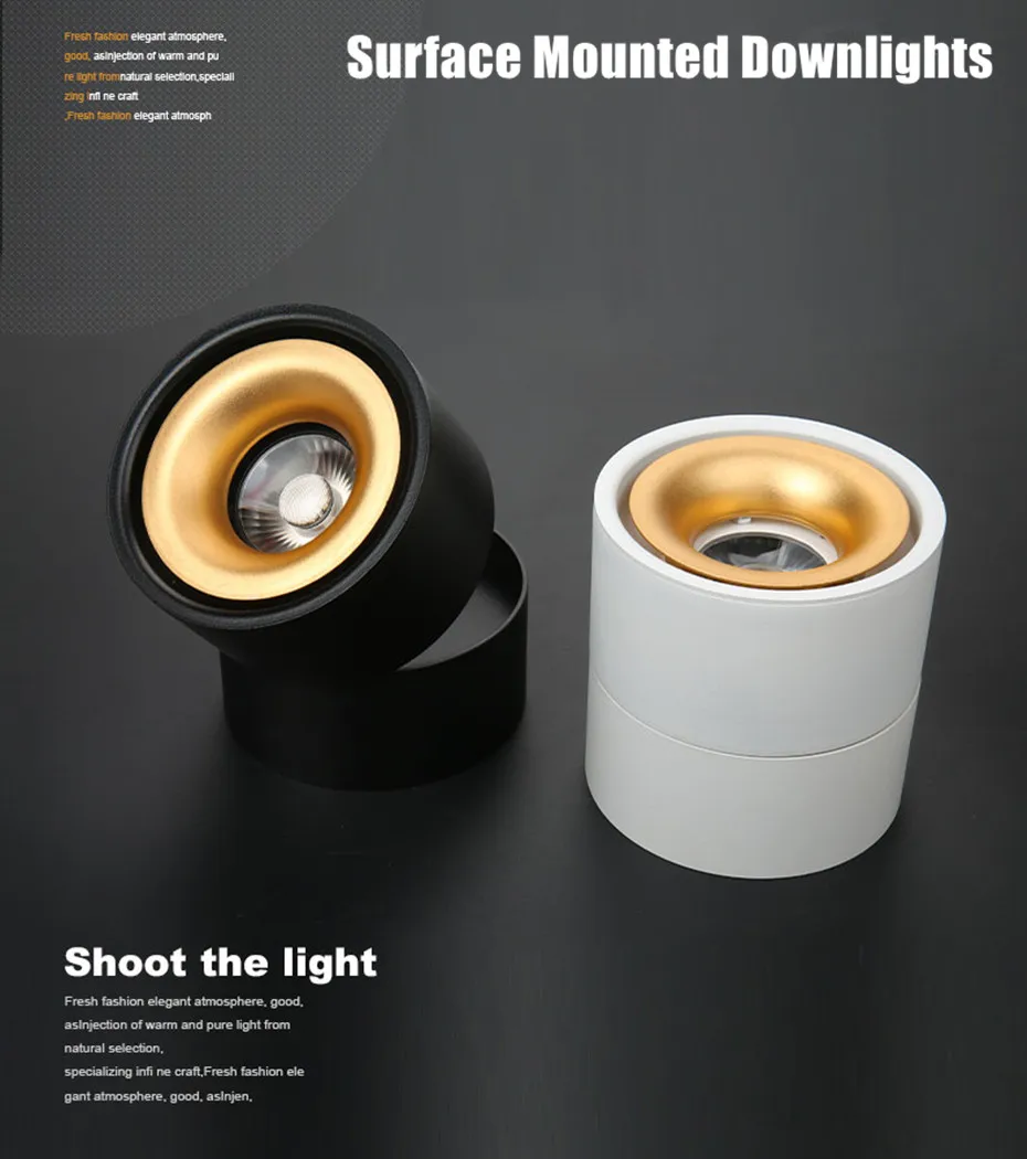 led downlight  (5)