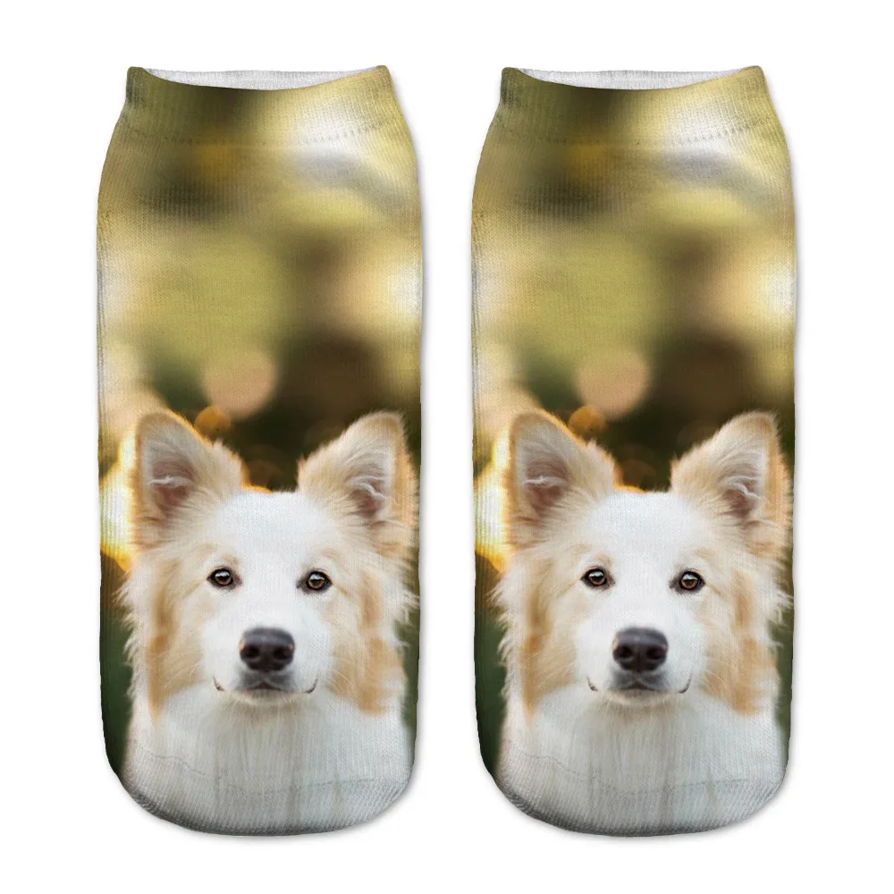 Online Get Cheap Pug Socks For Men -Aliexpress.com Alibaba Group 5Pairs Mens 3D Pugs Dogs Printed Socks New Unisex Cute Low Cut Ankle Socks Cotton sock - Online Get Cheap Pug Socks For Men -Aliexpress.com Alibaba Group