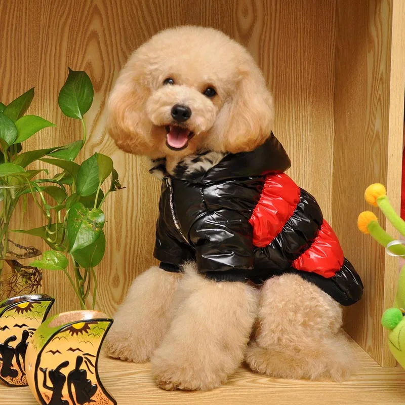 Winter Thicken Down Jacket For Dogs Costume Chihuahua Waterproof Pets