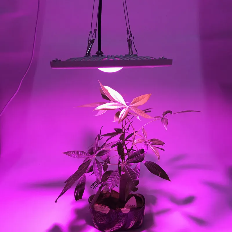 

Tinhofire Waterproof IP65 Full Spectrum 300W 600W LED Grow Light For Hydroponics Greenhouse LED Lamp for Indoor Outdoor plants