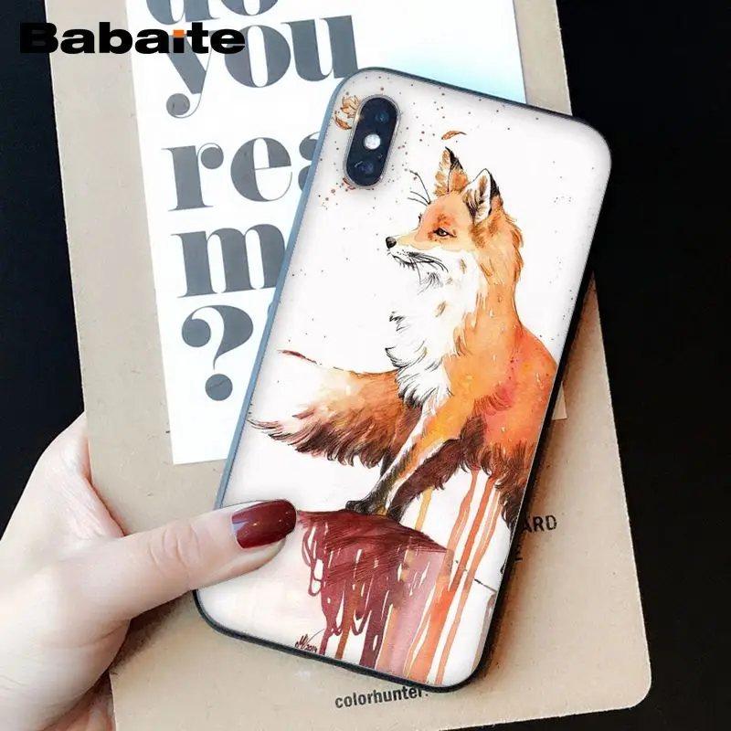 Animal More Cute Fox cat