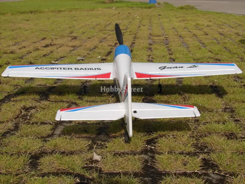 accipiter badius rc plane