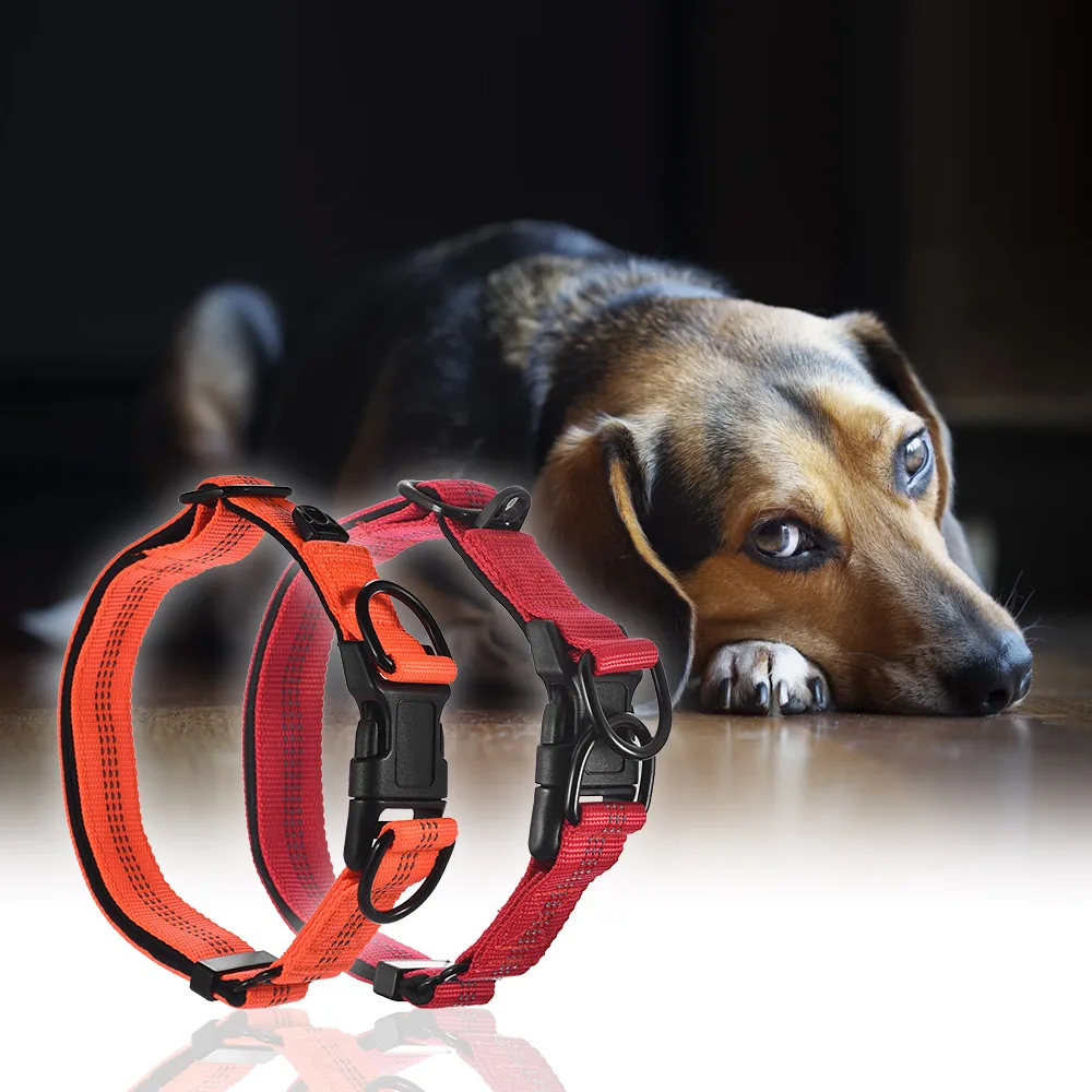 Pet Dog Collar Dual D ring Nylon Length Adjustable Reflective Strips