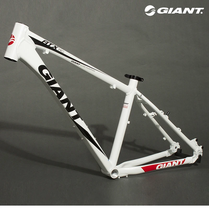 giant bike aluminum frame