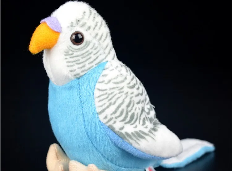 budgie plush toy