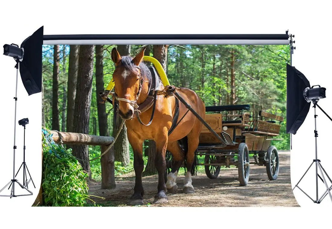 

Sightseeing Carriage Backdrop Rustic Farmland Backdrops Jungle Forest Trees Dirt Road Kentucky Background