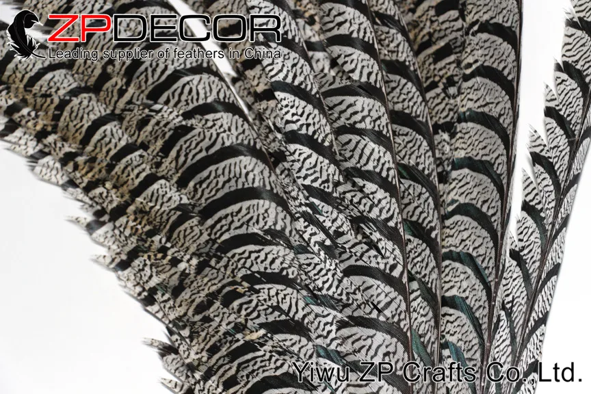 long Natural ZEBRA Lady Amherst Pheasant Tail Feathers (3)