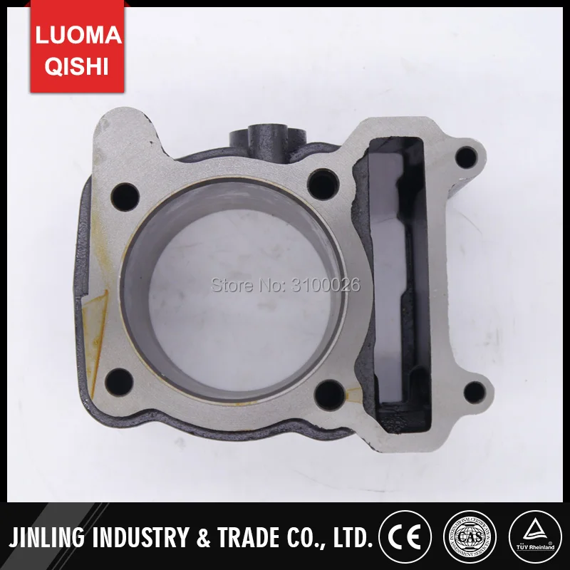 FA-D300-006-10-BUYANG-LINHAI-ATV-PARTS-ENGINE-CYLINDER