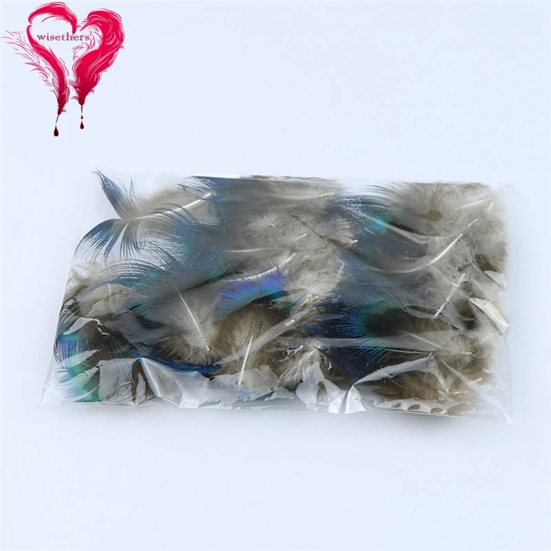 peafowl feather 3