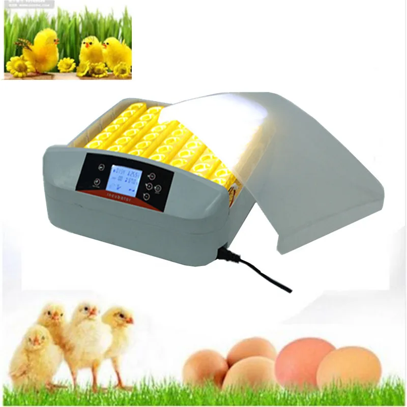

new design model 56 eggs incubator machine for chicken duck quail egg automatic temperature control poultry incubator