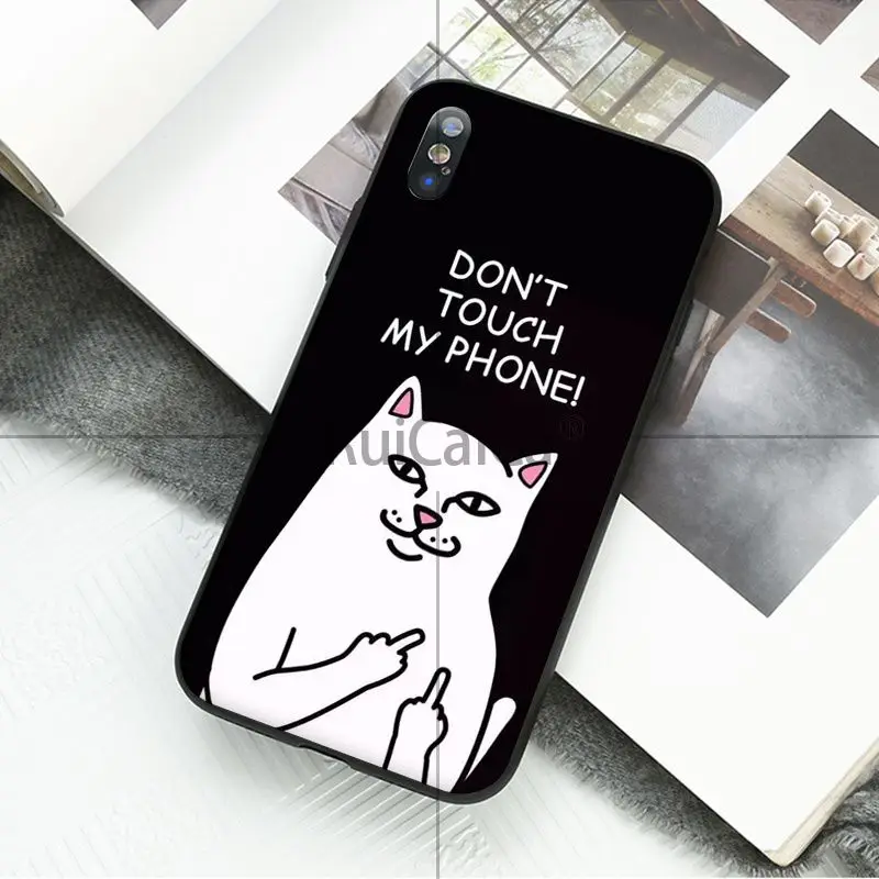Art middle finger cat