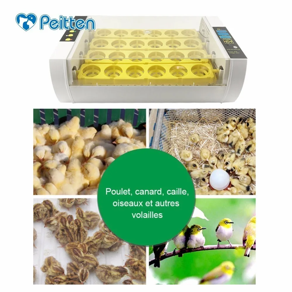 Wholesale 24 Eggs Incubator panel egg tray 60W Automatic Poultry Chicken Duck Eggs Hatcher Machine 110V/ 220V EU/US/UK