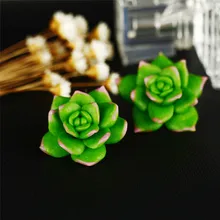 

Green Mismatched Colorful Funny Cactus Succulents Plant Flower Earrings Jewelry Dropshipping AP25