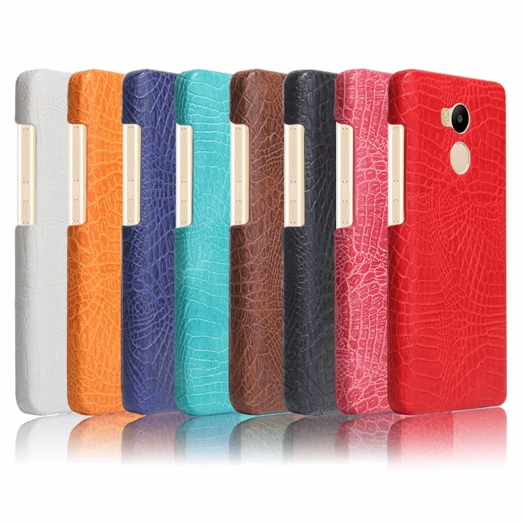 case (2)