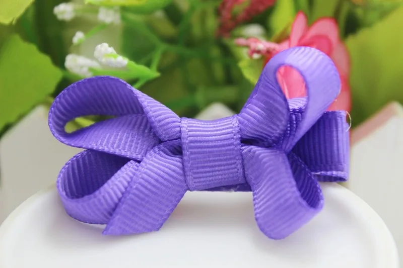 2593229816_735494873