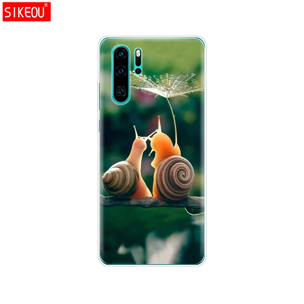 12055 Чехол для huawei P30 Pro Чехол huawei P30Pro силиконовый чехол ТПУ задняя крышка для телефона на huawei P30 Pro VOG-L29 ELE-L29 P 30 Lite чехол - Цвет: 12055
