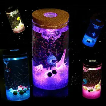 

Straight Glass Bottle Night Light Home Colorful Gradient Room Decoration Ecology Box Lamp 15*8*8cm Romantic Luminous Gifts DIY