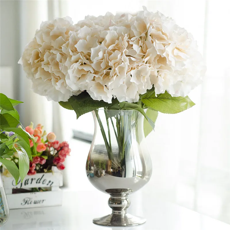 ZS461Champagne (2)