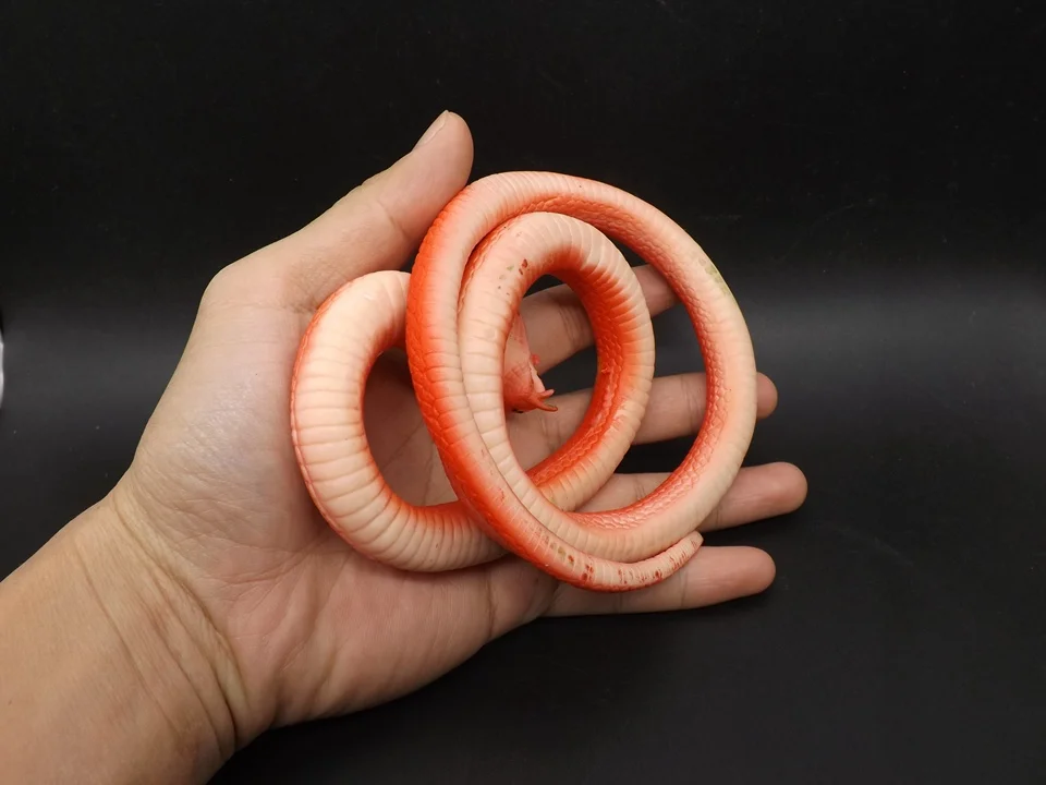 J211 (4)