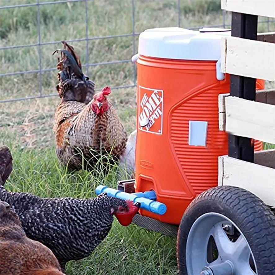 

6Pcs Chicken Feed Automatic Bird Coop Poultry Chicken Fowl Drinker Water Drinking Cups 0419#30