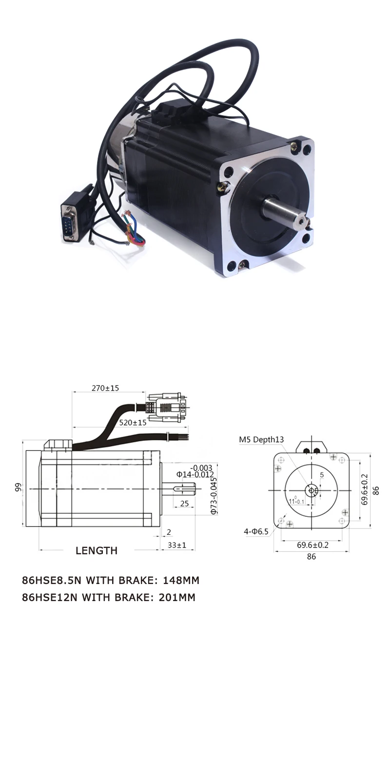 motor with brake