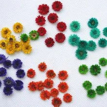 120 шт прессованный высушенный цветок анафалиса сухие растения для эпоксидной смолы кулон ожерелье Изготовление ювелирных изделий ремесло DIY аксессуары