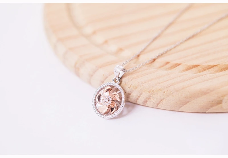 9076834670_896826829