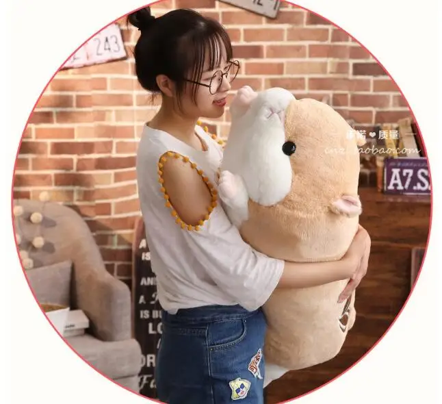 TIM20180805143436