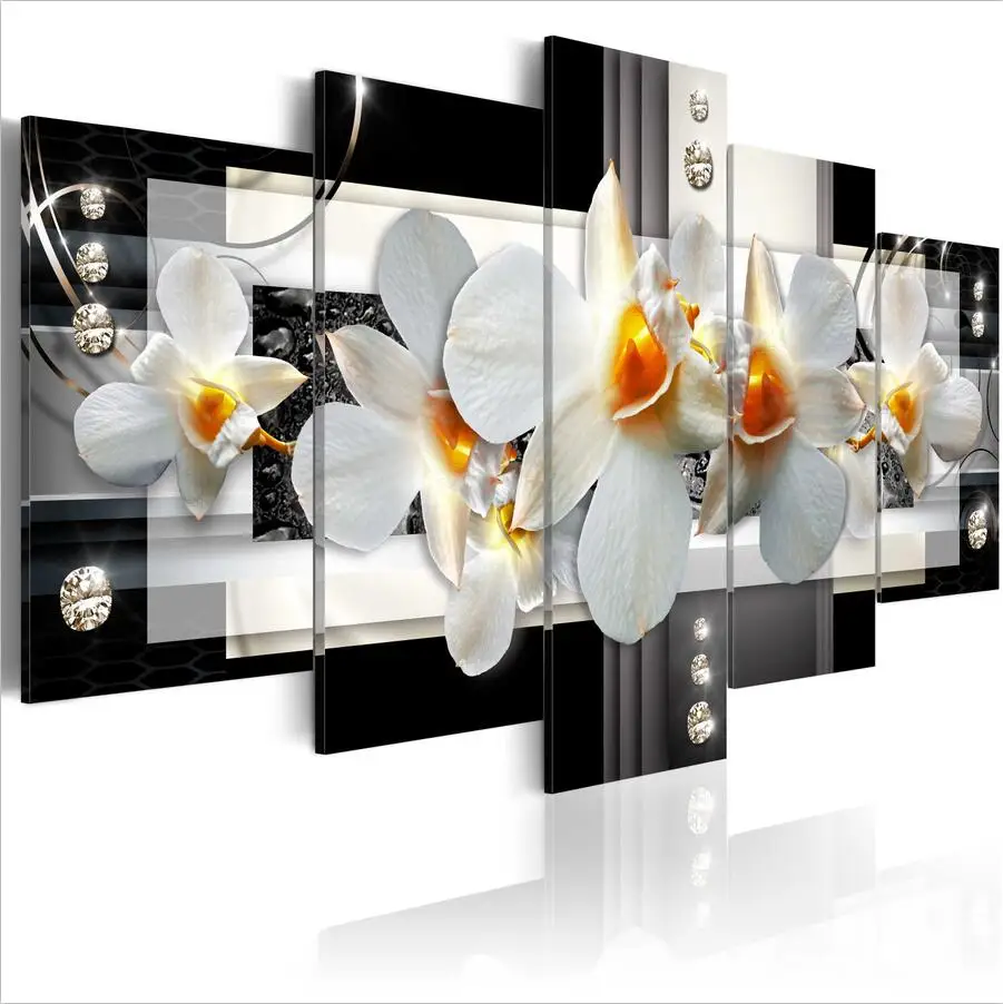 Sun orchids black