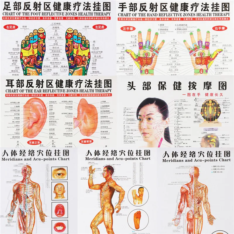 Hand Acupuncture Points Chart