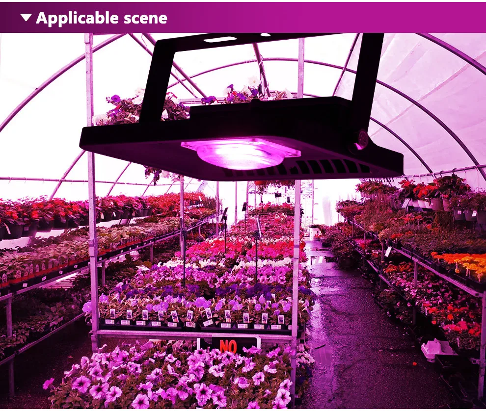 led grow floodlights  (12)
