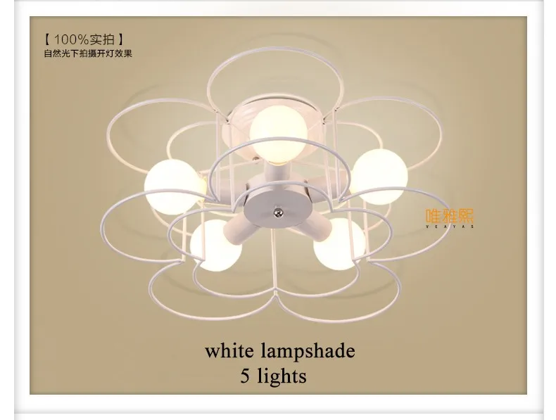 XC-8017 Ceiling lighting (14)_A