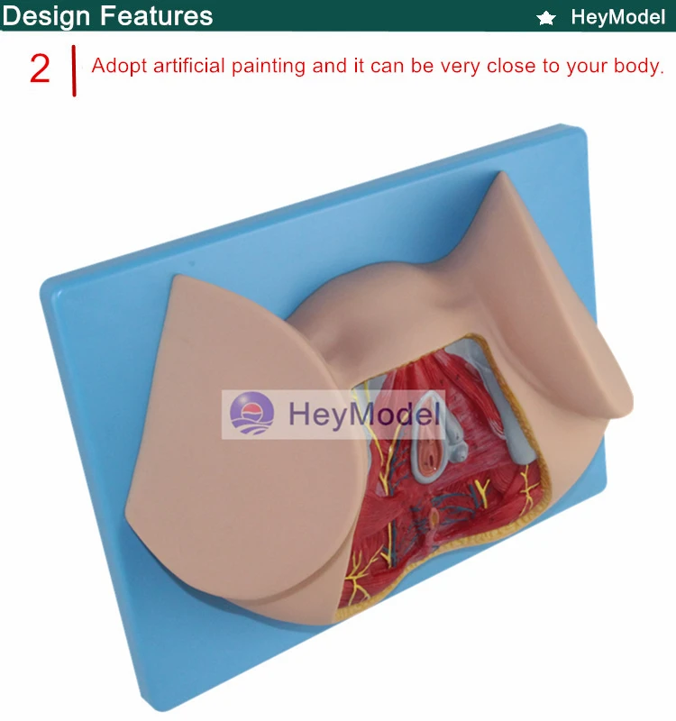 2. _