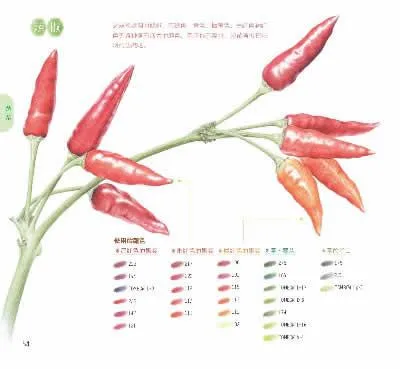 Китайский цветные карандаши для рисования свежие цветы и вкусные фрукты суккуленты книга про живопись
