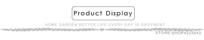 Product Display