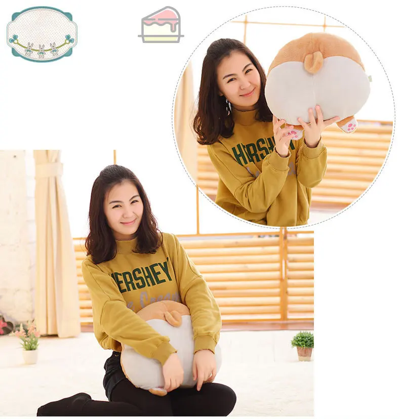 corgi cushoin  (5)