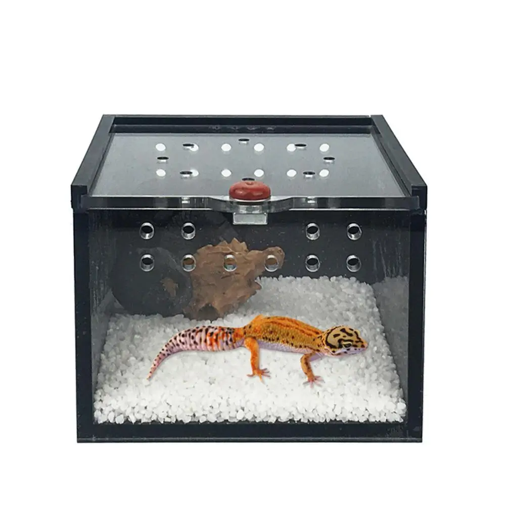 

Black Acrylic Pet Cage Feeding Box For Spider Lizard Frog Cricket Turtle Pet Breeding Keeper Reptile House