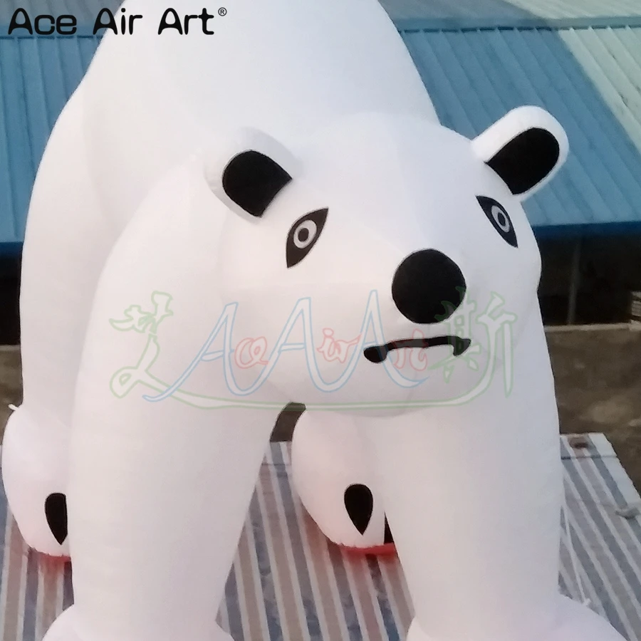 IMG20171031175528_