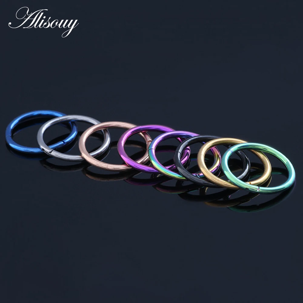 

Alisouy 1PC Hinged Segment Ring Titanium Nose Piercing Labret Lip Nipple Septum Tragus Cartilage Clicker Body Jewelry 14G 16G