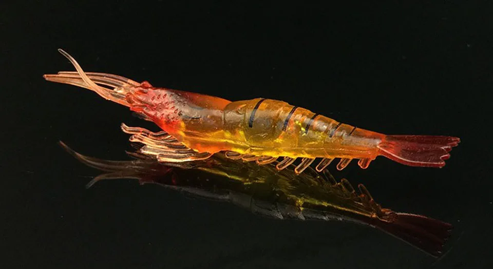 b_019